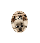 動くけぽてぃ （犬）（個別スタンプ：5）