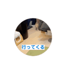わが家のニャンTube☆コタロー＆むぎちゃん（個別スタンプ：3）