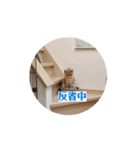 わが家のニャンTube☆コタロー＆むぎちゃん（個別スタンプ：10）