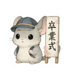 チンチラのスーさんと一緒 -お祝い-（個別スタンプ：13）