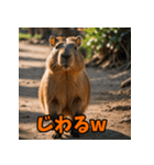 クセが強い！カピバラのセリフスタンプ（個別スタンプ：1）