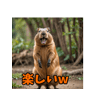 クセが強い！カピバラのセリフスタンプ（個別スタンプ：12）