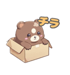 毎日スタンプ ～クマVer～（個別スタンプ：19）