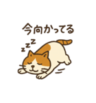 ねっこのスタンプ ゆきちゃん（個別スタンプ：6）