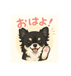 チワワのこっちゃん♂（個別スタンプ：2）