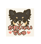 チワワのこっちゃん♂（個別スタンプ：5）