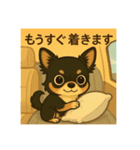 チワワのこっちゃん♂（個別スタンプ：8）