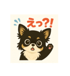 チワワのこっちゃん♂（個別スタンプ：11）