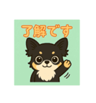 チワワのこっちゃん♂（個別スタンプ：12）