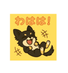 チワワのこっちゃん♂（個別スタンプ：13）