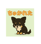 チワワのこっちゃん♂（個別スタンプ：14）
