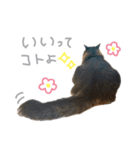 ラニカイすにゃんぷ（個別スタンプ：3）