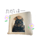 ラニカイすにゃんぷ（個別スタンプ：17）