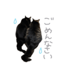 ラニカイすにゃんぷ（個別スタンプ：22）