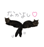 ラニカイすにゃんぷ（個別スタンプ：32）