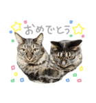 ラニカイすにゃんぷ（個別スタンプ：39）