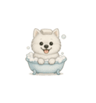 笑顔の天使 サモエド（個別スタンプ：5）