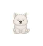 笑顔の天使 サモエド（個別スタンプ：12）