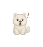 笑顔の天使 サモエド（個別スタンプ：17）