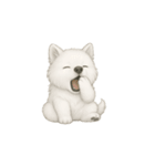 笑顔の天使 サモエド（個別スタンプ：20）