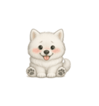 笑顔の天使 サモエド（個別スタンプ：31）