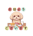 【あいさつ】かわいいマルプーあると便利編（個別スタンプ：2）