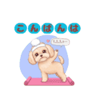 【あいさつ】かわいいマルプーあると便利編（個別スタンプ：3）