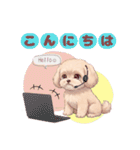 【あいさつ】かわいいマルプーあると便利編（個別スタンプ：4）