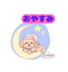 【あいさつ】かわいいマルプーあると便利編（個別スタンプ：5）