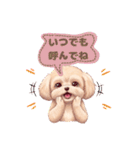 【あいさつ】かわいいマルプーあると便利編（個別スタンプ：7）