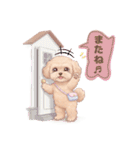 【あいさつ】かわいいマルプーあると便利編（個別スタンプ：8）