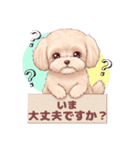 【あいさつ】かわいいマルプーあると便利編（個別スタンプ：11）