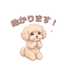【あいさつ】かわいいマルプーあると便利編（個別スタンプ：13）