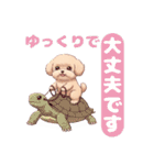 【あいさつ】かわいいマルプーあると便利編（個別スタンプ：16）