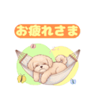 【あいさつ】かわいいマルプーあると便利編（個別スタンプ：19）