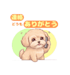 【あいさつ】かわいいマルプーあると便利編（個別スタンプ：20）
