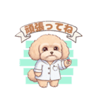 【あいさつ】かわいいマルプーあると便利編（個別スタンプ：21）