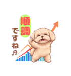 【あいさつ】かわいいマルプーあると便利編（個別スタンプ：23）