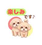 【あいさつ】かわいいマルプーあると便利編（個別スタンプ：24）