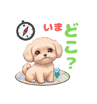 【あいさつ】かわいいマルプーあると便利編（個別スタンプ：27）