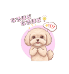 【あいさつ】かわいいマルプーあると便利編（個別スタンプ：29）