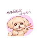【あいさつ】かわいいマルプーあると便利編（個別スタンプ：30）