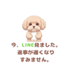 【あいさつ】かわいいマルプーあると便利編（個別スタンプ：31）
