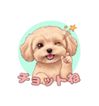 【あいさつ】かわいいマルプーあると便利編（個別スタンプ：34）
