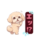 【あいさつ】かわいいマルプーあると便利編（個別スタンプ：36）