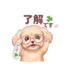 【あいさつ】かわいいマルプーあると便利編（個別スタンプ：40）