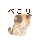 【敬語】ふわふわ三毛猫（個別スタンプ：23）