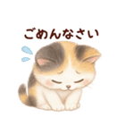 【敬語】ふわふわ三毛猫（個別スタンプ：36）