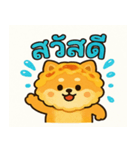 ドリわんのソンクラーン大作戦！（個別スタンプ：1）