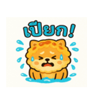 ドリわんのソンクラーン大作戦！（個別スタンプ：3）